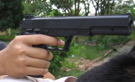 gun