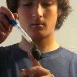 hummingbird_rescue