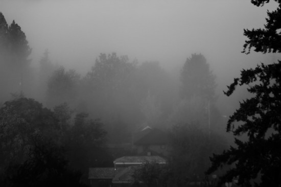 Fog in the Valley © Michael Lebowitz. All Rights Reserved.