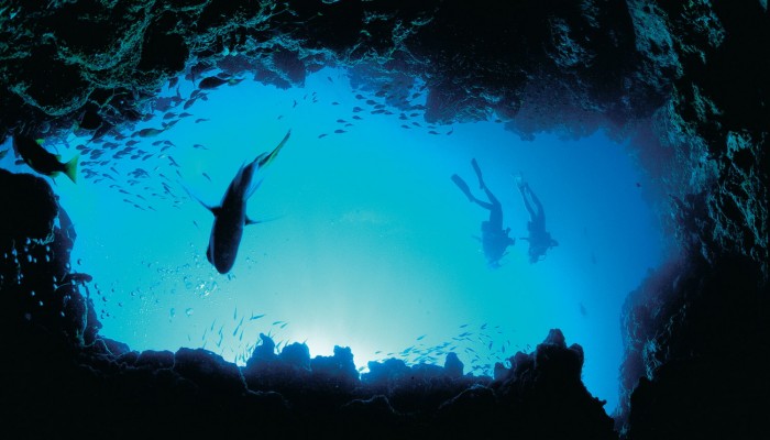Divers at Ningaloo Marine Park