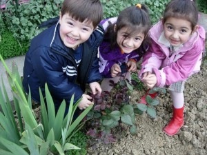  Turkey: Tree Planting Challenge  Three particularly happy young gardeners are having lots of fun with the Tree Planting Challenge in Turkey as part of the 10:10 Global challenge! 