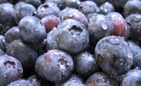 Blueberries