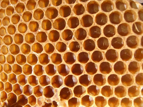 Bee Eggs