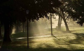 Misty park
