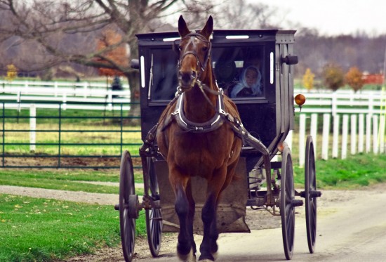 Amish Buggy Ride: Amish buggy near the northern Indiana Amish community of Shipshewana