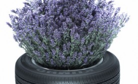 lavender tire