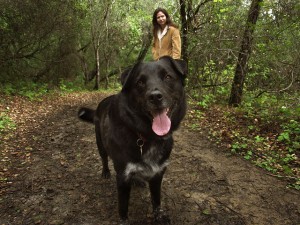 Happy dog