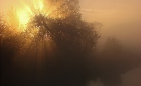 Morning Mist