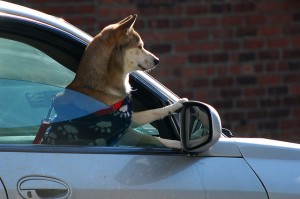 Riding