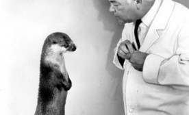 Breland & otter
