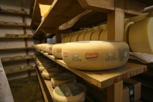 Caws Canarth Cheese in Wales