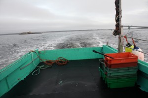 Coming home on "dumping day" after setting the season's lobster traps.