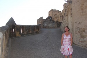 Entrance to Paradore Tortosa