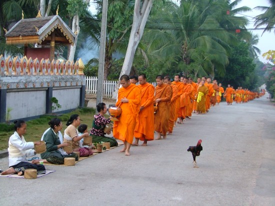 Laos Luang Prabang Buddhist monks collecting alms 