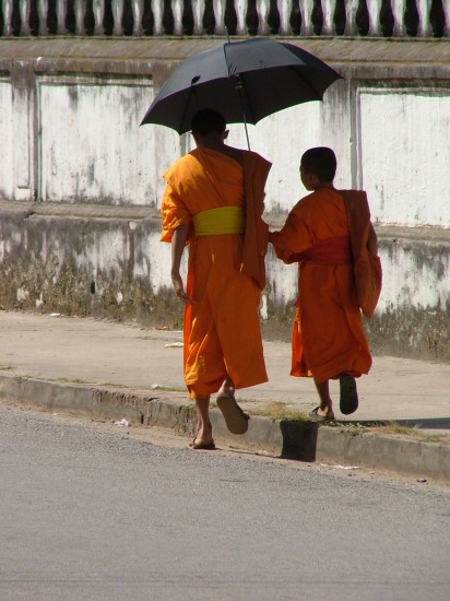 Laos Luang Prabang youn g monks on the way to the monastery