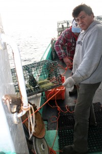 Tim Rhyno setting lobster traps off Lockeport, Nova Scotia