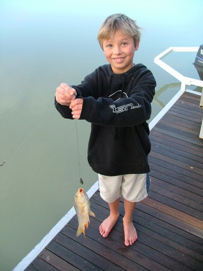 Caught a carp - young son on the Murray (c) Vincent Ross