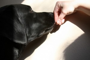 Touch