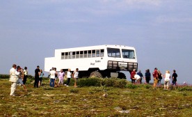 The author and his fellow passengers were transported over the local terrain on the Tundra Buggy