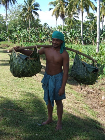 Carrying coconuts in Samoa. Photo by Vincent Ross
