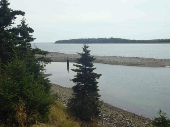 View of Lawlor's Island from Halifax Harbour