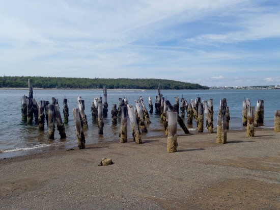 Abandoned quarantine station dock, Lawlor's Island