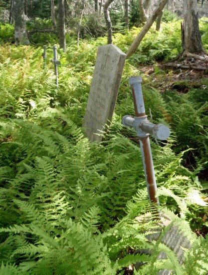 Lawlor's Island cemetery 