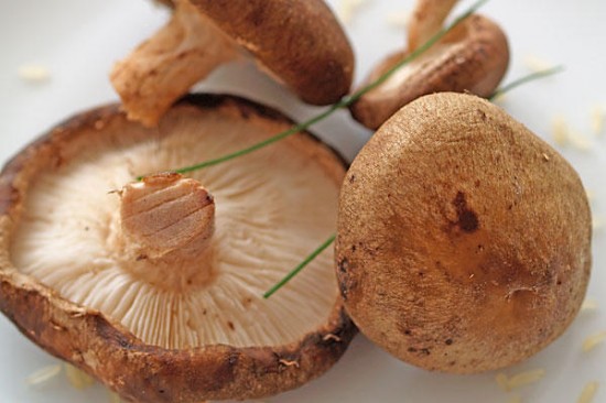 Shtake mushrooms