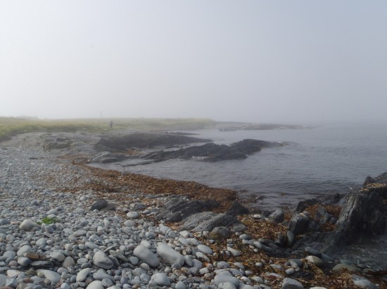 Beach at Devils Island