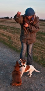 Working it out with your dog