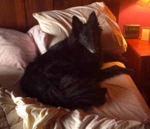 Bed Princess Tira
