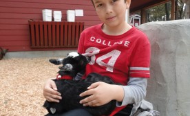 My Luke at Petting Zoo with a dear goat