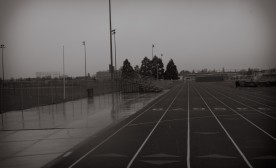 Trackwork #8