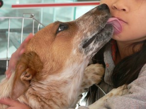 Kisses
