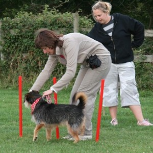 Agility Training