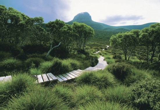 Cradle Mountain Tasmania