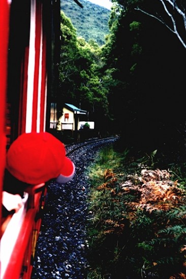 Tasmania Abt Wilderness Railway - on the way to Rinadeena