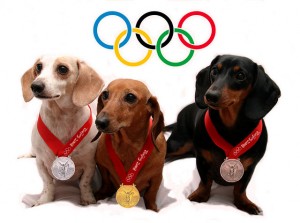 Olympic Dogs