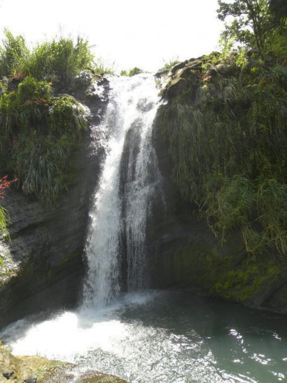 One of Grenada's myriad cascading waterfalls