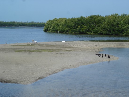 "Ding" Darling National Wildlife refuge.