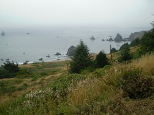 Pacific Ocean near Klamath, California