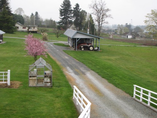Rainy farm overview pics 002