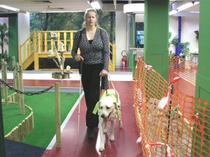 A blind person learns to use a guide dog at the test track of the Brailleliga