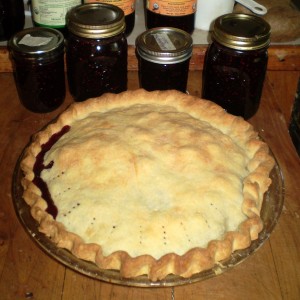 Blackberry pie fresh out of the oven