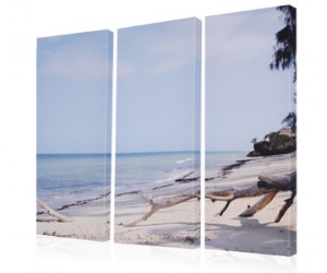 3 Split Canvas