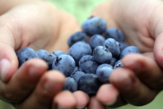Blueberries