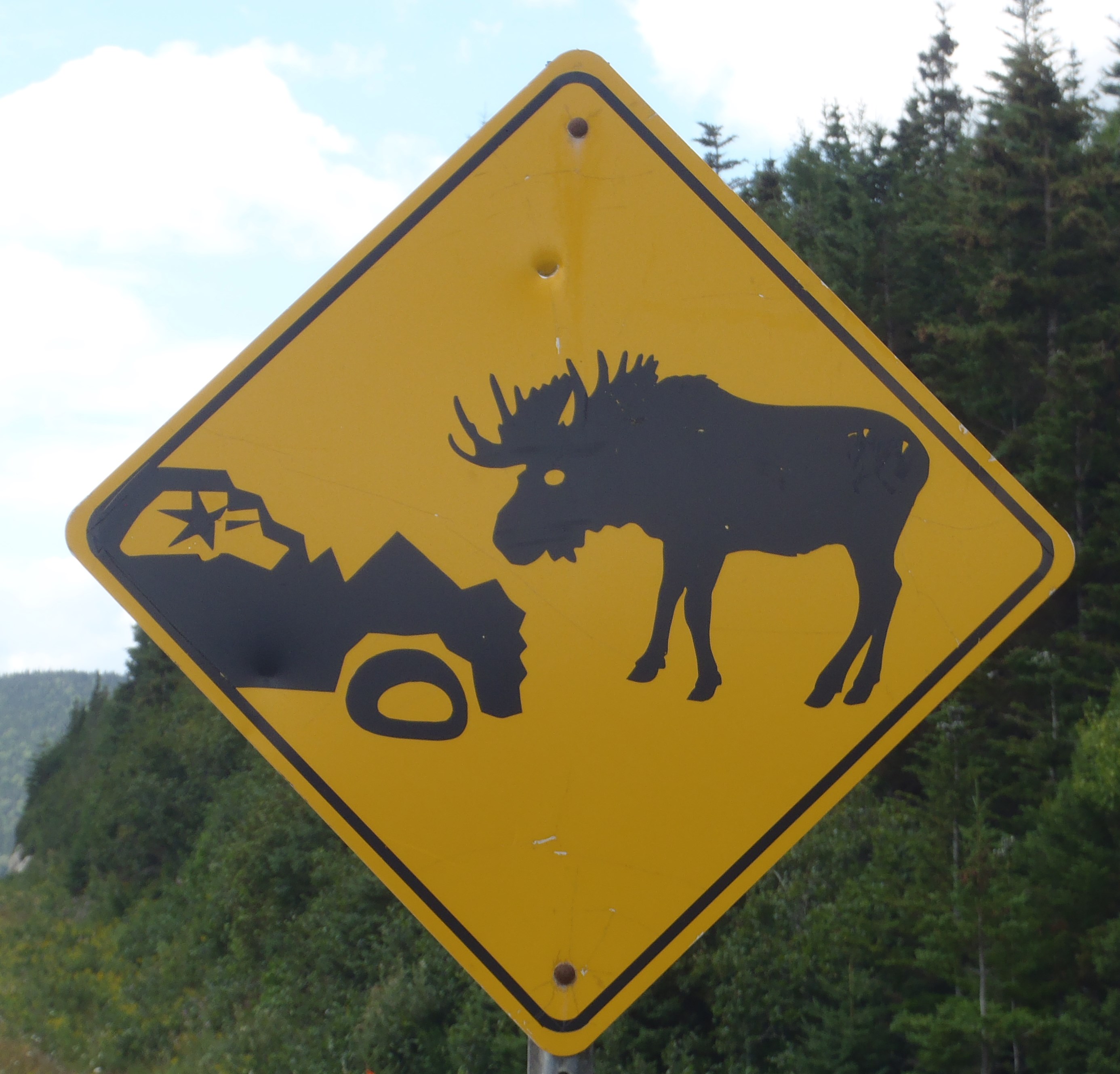 Beware of Attack Moose sign