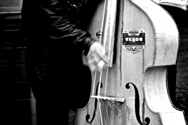 A Bass Player In Brussels