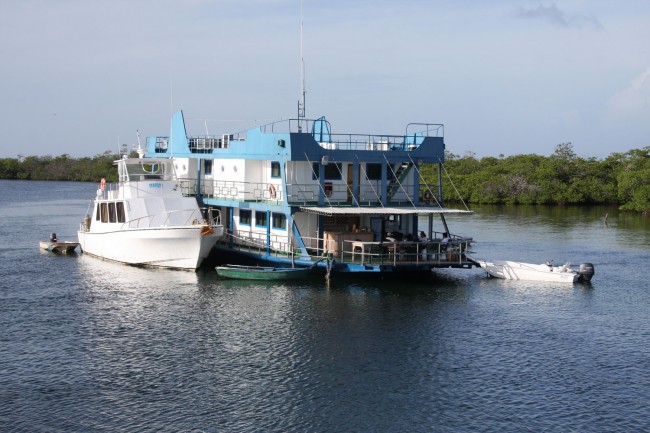Six hours away from shore Avalon’s floating hotel Tortuga is the mother ship of their fleet in the Jardines de la Reina.