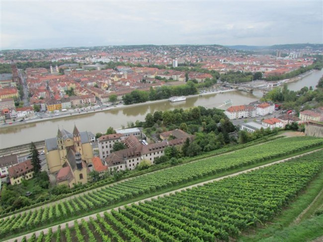 Wurzburg - Vineyards and Main River